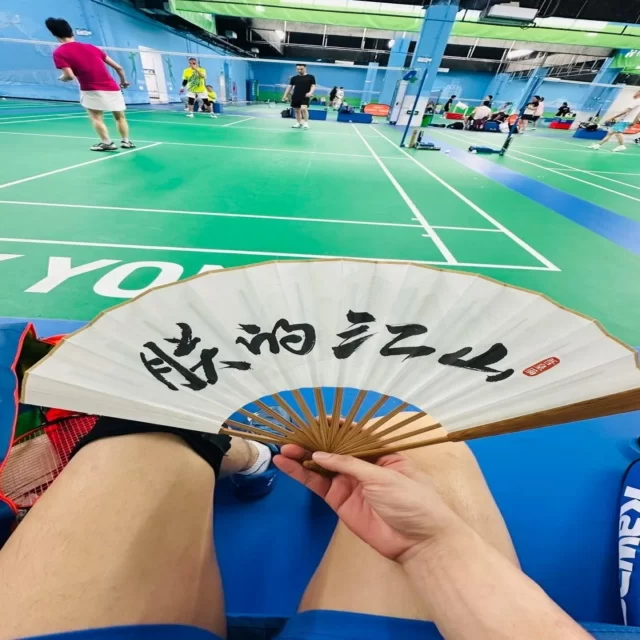深度解析体育赛事焦点人物与战术布局
